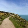 Picture of Hike #54: Howth Cliff Walk and Howth Castle