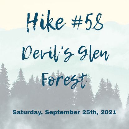 Picture of Hike #58: Devil's Glen Forest