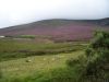 Picture of Hike #59: Seefingan Passage Tomb