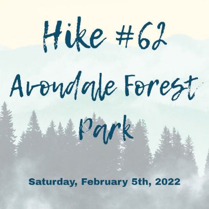 Picture of Hike #62: Avondale Forest Park