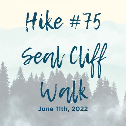 Picture of Hike #75: Wicklow Seal Cliff Walk