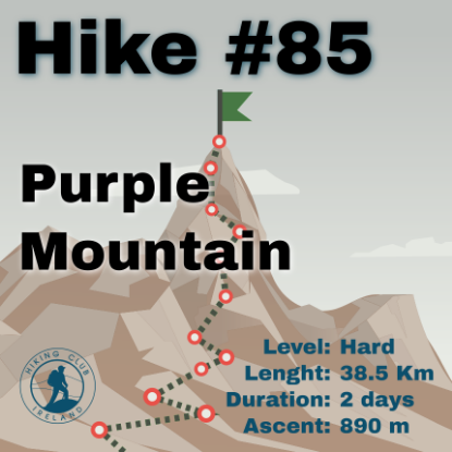 Picture of Hike #85: 12 Peak Challenge - Purple Mountain