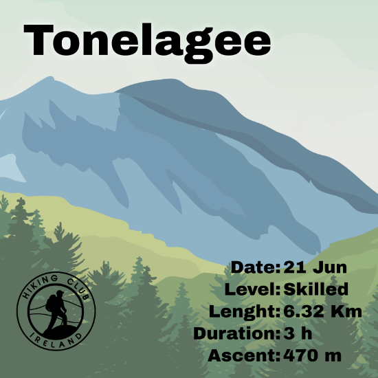 Picture of Hike #200: Tonelagee